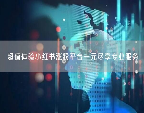 超值体验小红书涨粉平台一元尽享专业服务
