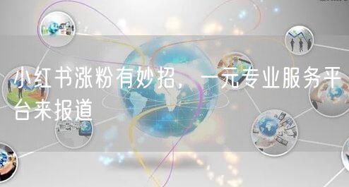 小红书涨粉有妙招，一元专业服务平台来报道