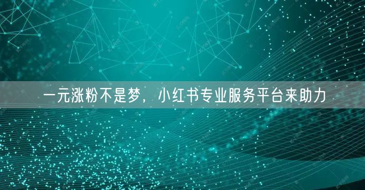 一元涨粉不是梦，小红书专业服务平台来助力