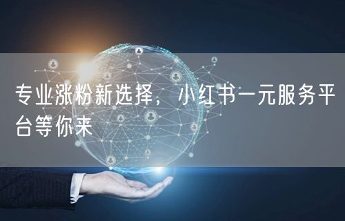 专业涨粉新选择，小红书一元服务平台等你来