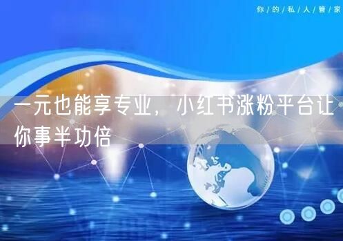 一元也能享专业，小红书涨粉平台让你事半功