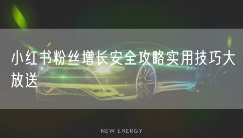 小红书粉丝增长安全攻略实用技巧大放送