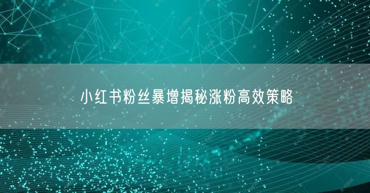 小红书粉丝暴增揭秘涨粉高效策略