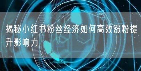 揭秘小红书粉丝经济如何高效涨粉提升影响力