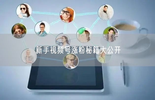 新手视频号涨粉秘籍大公开