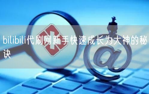 bilibili代刷网新手快速成长为大神