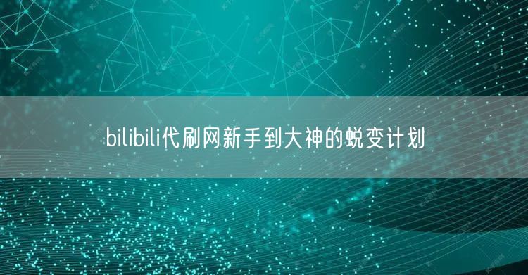 bilibili代刷网新手到大神的蜕变计