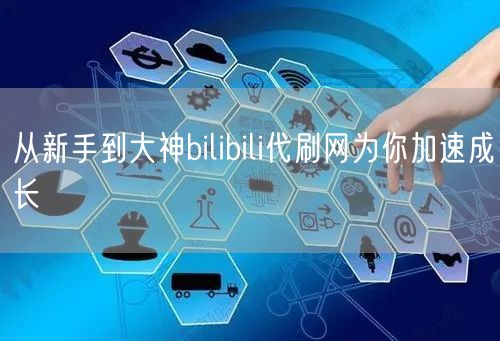 从新手到大神bilibili代刷网为你加