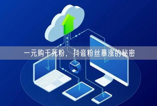 一元购千死粉，抖音粉丝暴涨的秘密