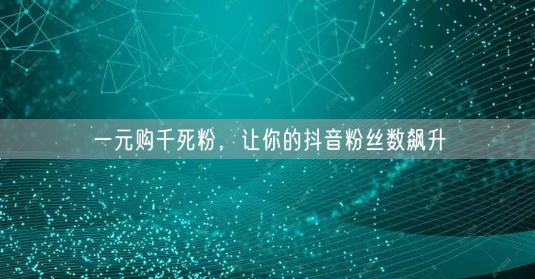 一元购千死粉，让你的抖音粉丝数飙升