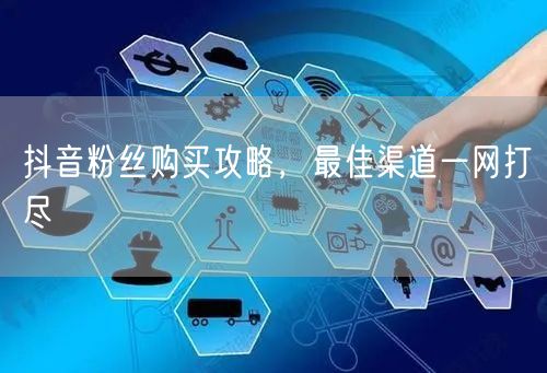 抖音粉丝购买攻略，最佳渠道一网打尽