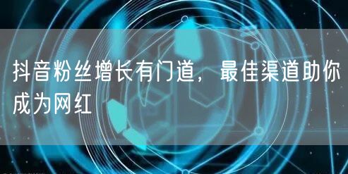 抖音粉丝增长有门道，最佳渠道助你成为网红