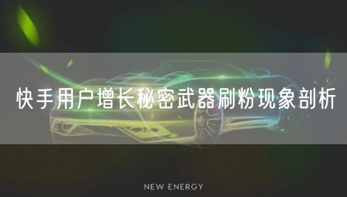 快手用户增长秘密武器刷粉现象剖析