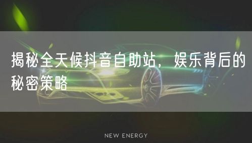 揭秘全天候抖音自助站，娱乐背后的秘密策略