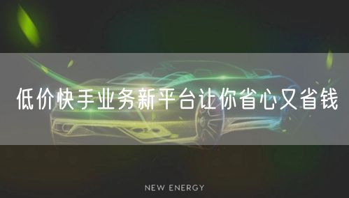 低价快手业务新平台让你省心又省钱
