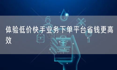 体验低价快手业务下单平台省钱更高效
