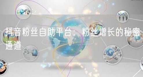抖音粉丝自助平台：粉丝增长的秘密通道