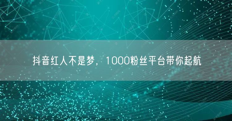 抖音红人不是梦，1000粉丝平台带你起航