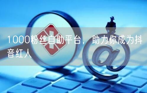 1000粉丝自助平台，助力你成为抖音红人