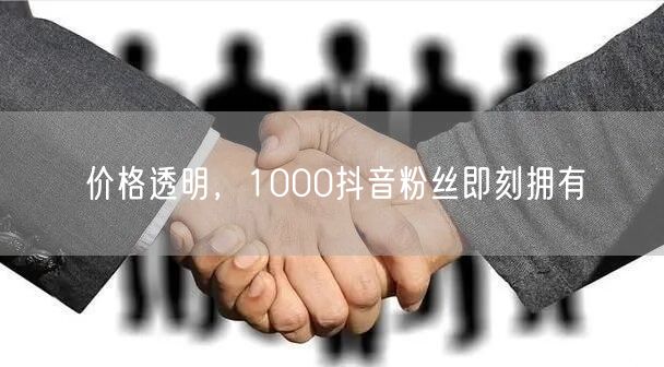价格透明，1000抖音粉丝即刻拥有