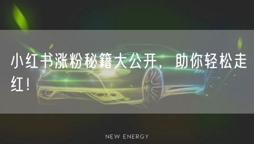 小红书涨粉秘籍大公开，助你轻松走红！