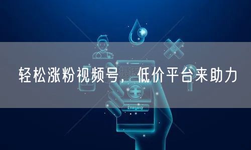 轻松涨粉视频号,低价平台来助力