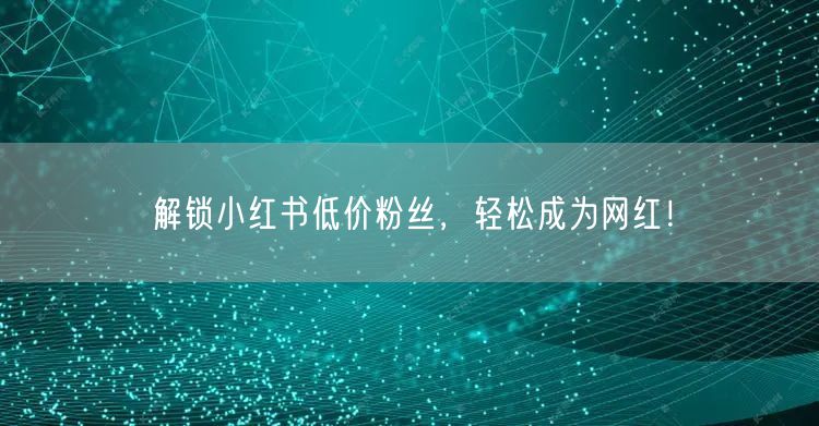 解锁小红书低价粉丝,轻松成为网红!