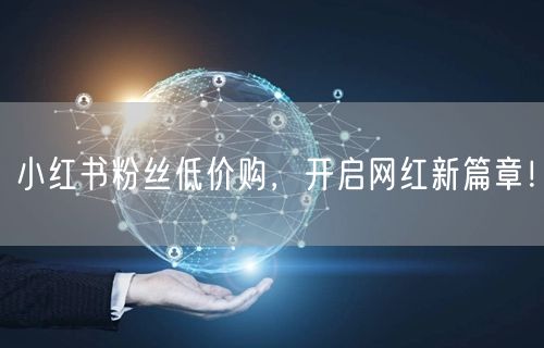 小红书粉丝低价购，开启网红新篇章！