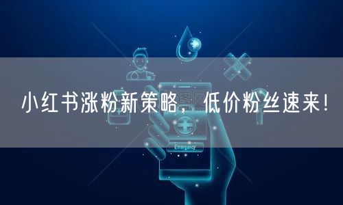 小红书涨粉新策略,低价粉丝速来!