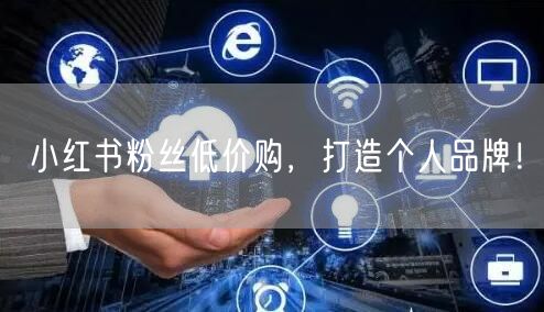 小红书粉丝低价购，打造个人品牌！