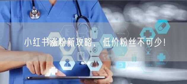 小红书涨粉新攻略，低价粉丝不可少！