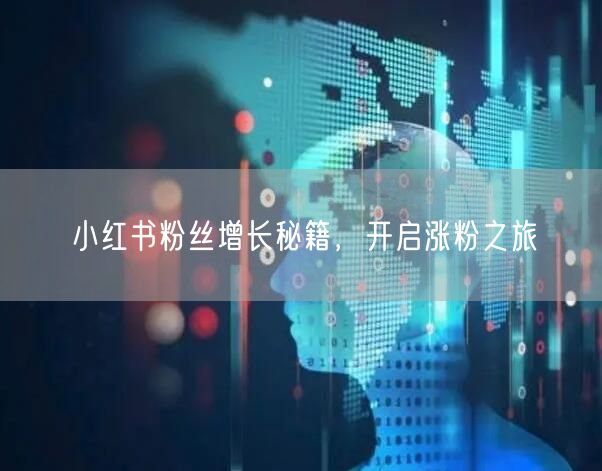 小红书粉丝增长秘籍，开启涨粉之旅