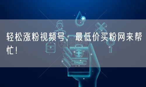 轻松涨粉视频号，最低价买粉网来帮忙！