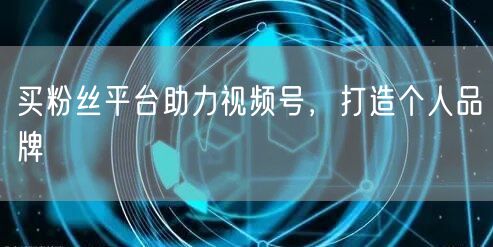 买粉丝平台助力视频号，打造个人品牌